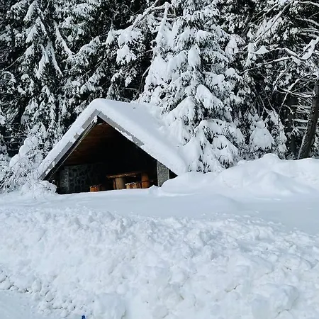 Aparthotel Pine Smoljan