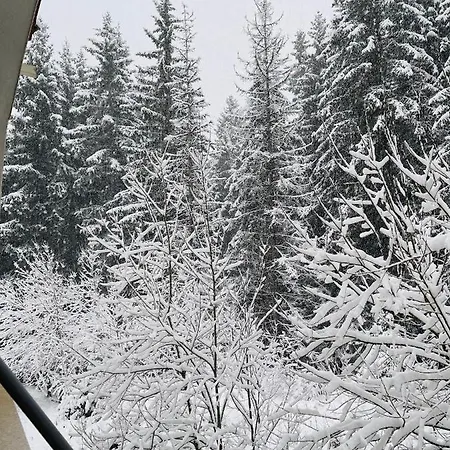 Pine Aparthotel